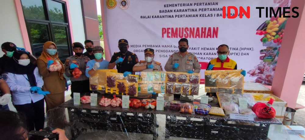 Penemuan Daging Babi Ilegal di Balikpapan Dimusnahkan 