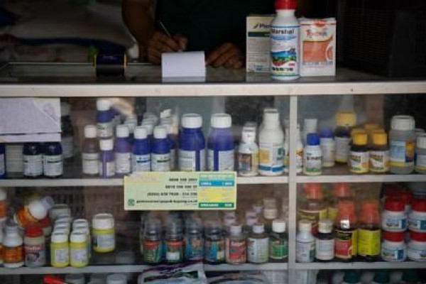Pemerintah Tingkatkan Pengawasan Peredaran Pupuk dan Pestisida Palsu
