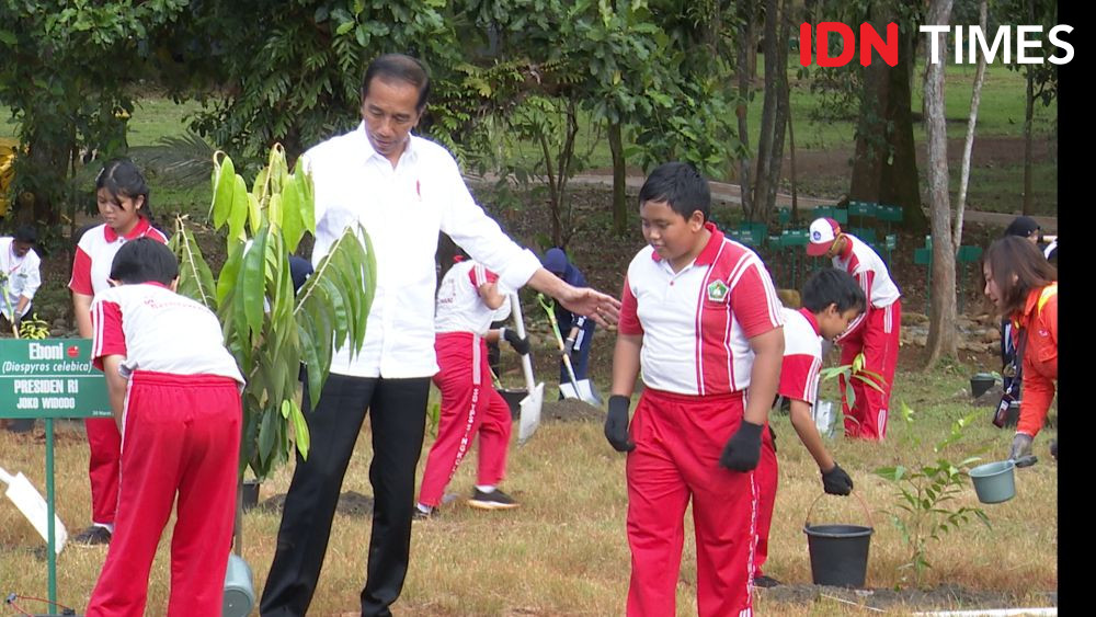 Jokowi: 4 Negara Kerja Sama Kelola Tambang Nikel di Luwu Timur