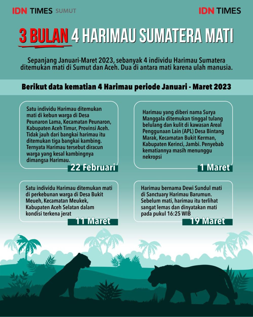Duka Konservasi, 3 Bulan 4 Harimau Sumatera Mati
