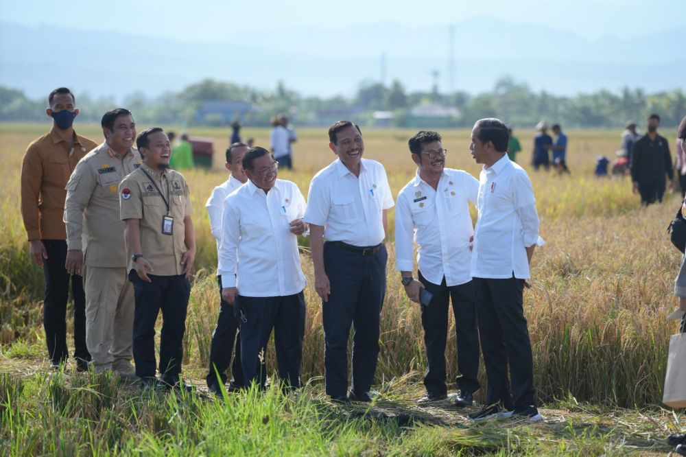 Tinjau Panen Raya di Kabupaten Maros, Jokowi Targetkan Surplus
