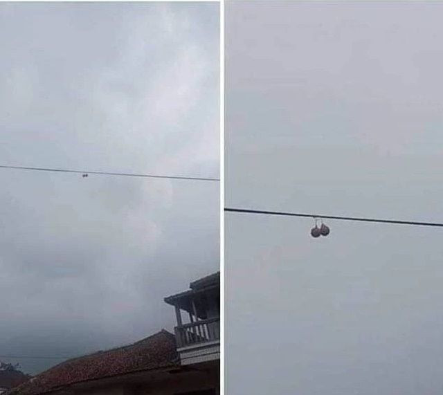 12 Potret Diam-diam Menyimpan Kekocakan Tak Terduga Setelah Di-zoom