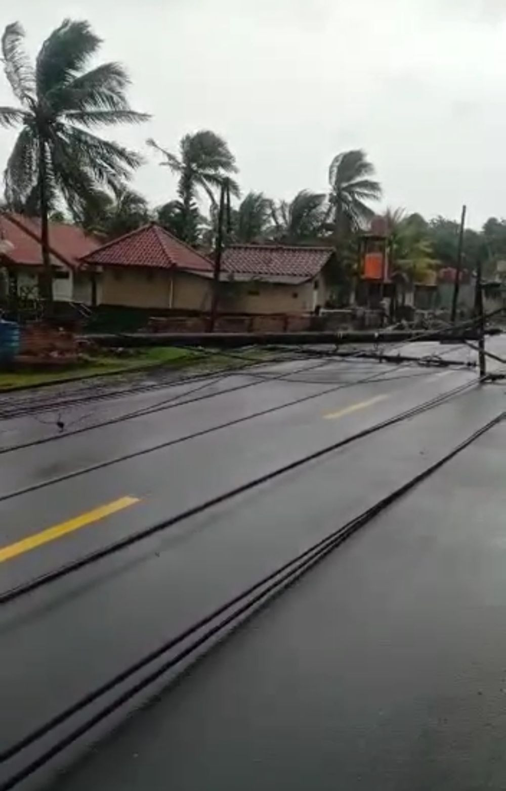 Hujan Deras Disertai Angin, 7 Tiang Listrik Roboh ke Jalan di Serang 