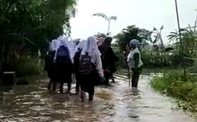 Empat Hari Diguyur Hujan, Puluhan Desa di Lamongan Kebanjiran