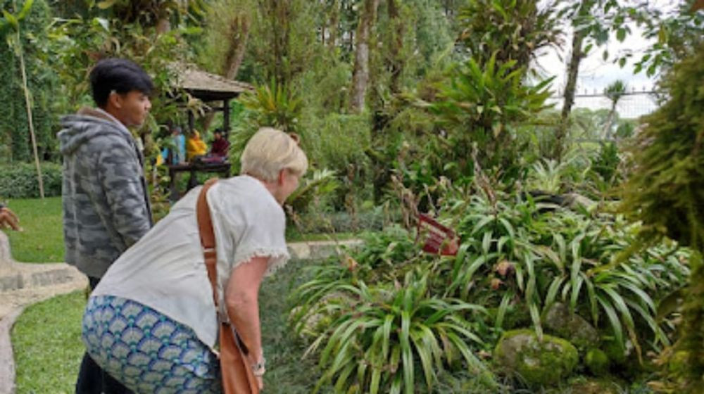 5 Aktivitas di Kebun Raya Bedugul dan Harganya