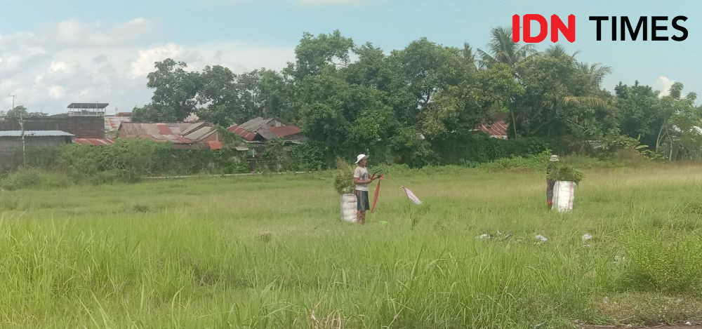 Sirkuit MXGP Selaparang Lombok Ditargetkan Rampung Pertengahan Juni 