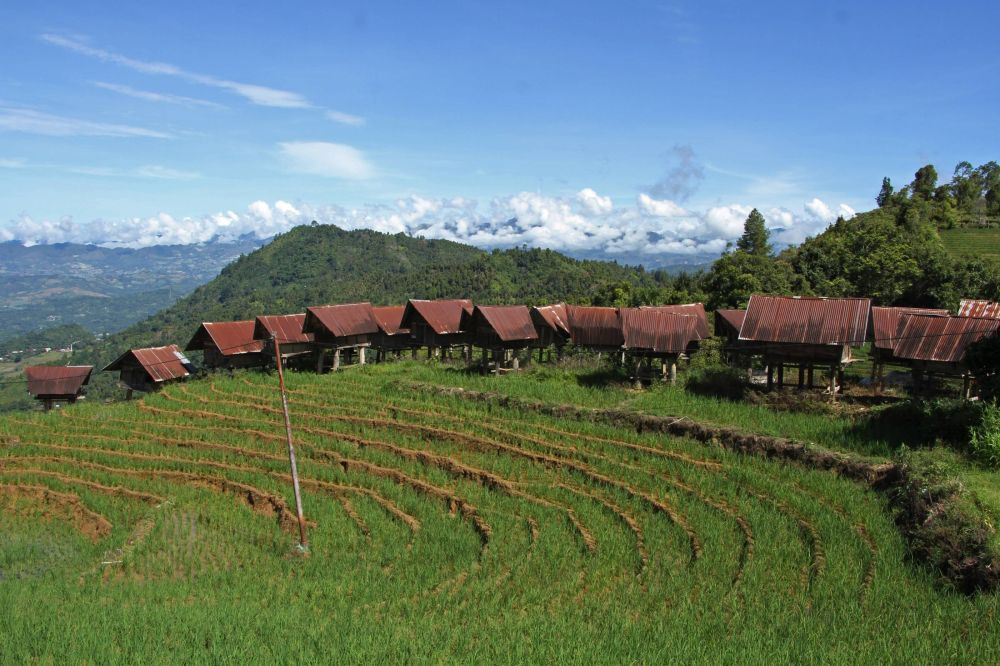 Pesona Desa Wisata Pepandungan Enrekang, Ada Lumbung Padi Tradisional