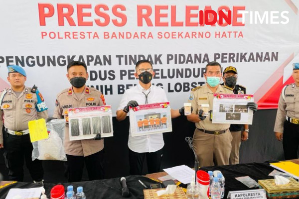 Polres Bandara Soetta Gagalkan Penyelundupan 38.400 Benih Lobster