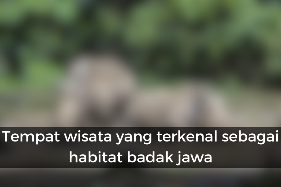 [QUIZ] Jangan Ngaku Orang Banten kalau Gak Tahu Tempat Wisata Ini!