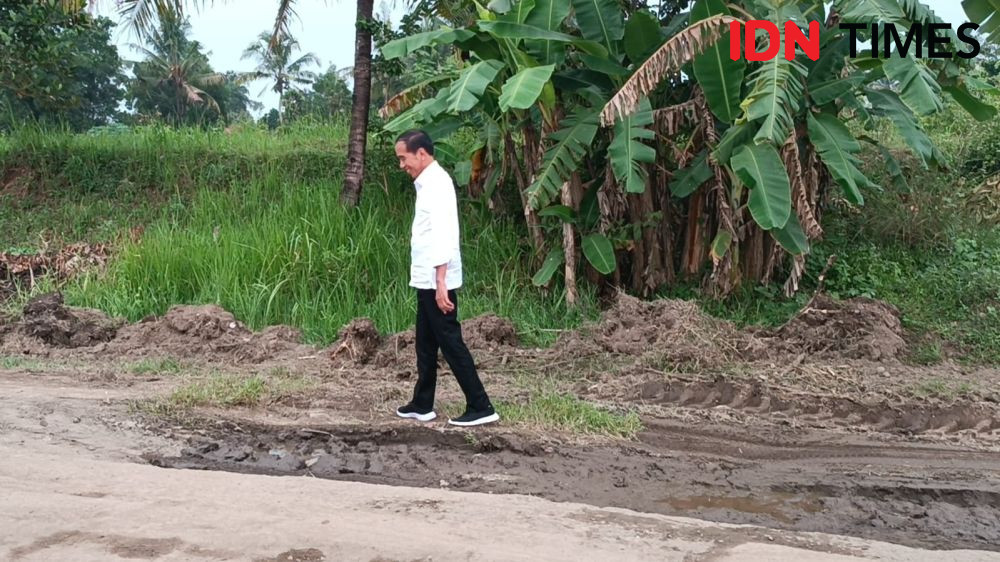 Cek Jalan Rusak Viral di Medsos, Jokowi Prank Gubernur Lampung
