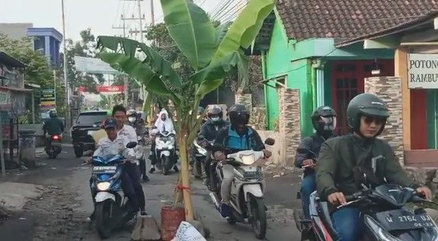 Jalan Rusak Parah Disindir Komedian Hingga Ditanami Pisang