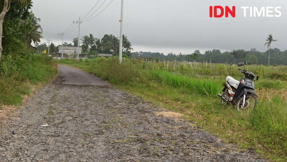 Jalan Rusak di Banyuwangi: Didatangi Caleg, Diberi Janji, Ditinggal