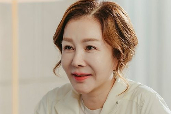 Profil Park Joon Geum Doctor Cha Si Ibu Mertua Sosialita