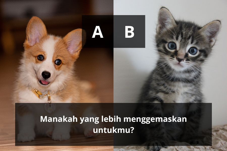 [QUIZ] Kamu Lebih Banyak Pakai Hati atau Pakai Otak saat Bikin Keputusan?