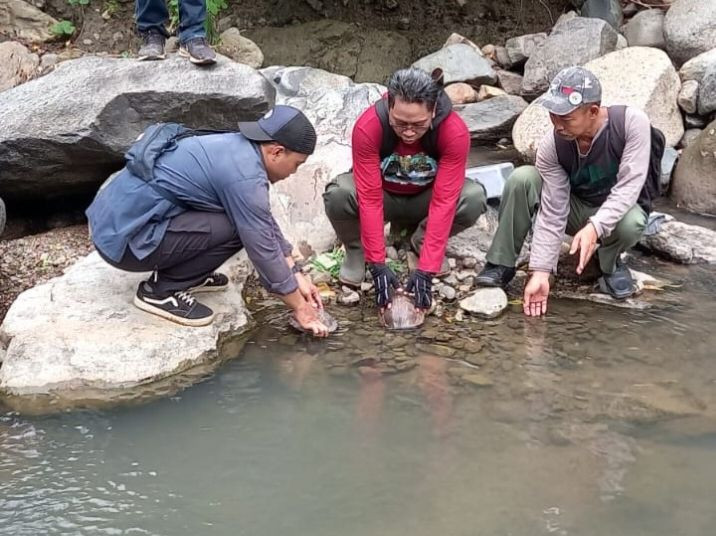 Petugas BKSDA Lepasliarkan Kura-Kura Bergerigi di Gunung Celering Jepara