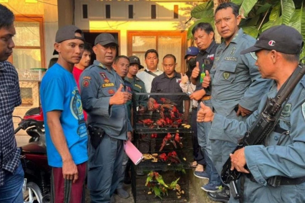 Gakkum LHK Sita Puluhan Burung Dilindungi di Gowa-Makassar