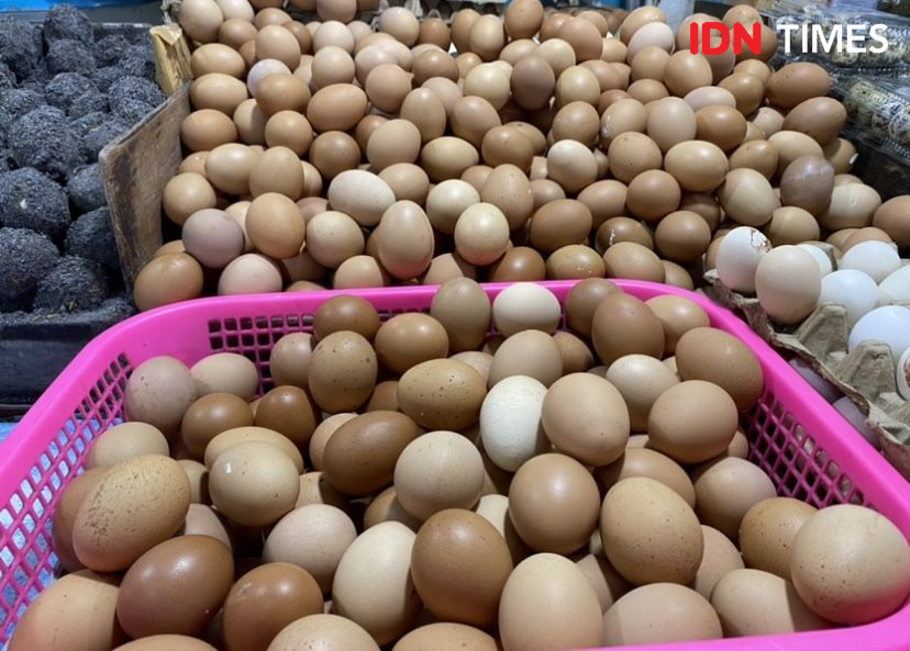 Harga Telur Ayam Meroket Sampai Rp57 Ribu Per Papan, Ini Penyebabnya