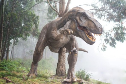 Studi Dinosaurus Memiliki Komunikasi Perspektif Visual 