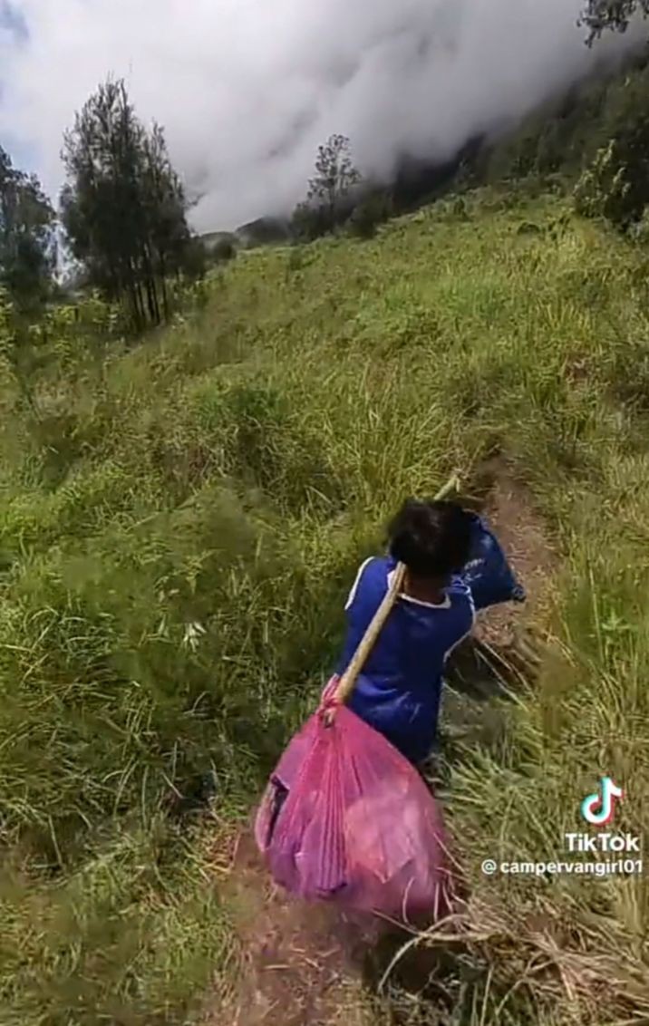 Viral! Turis Asing Sewa Porter dan Guide Bersihkan Sampah di Rinjani