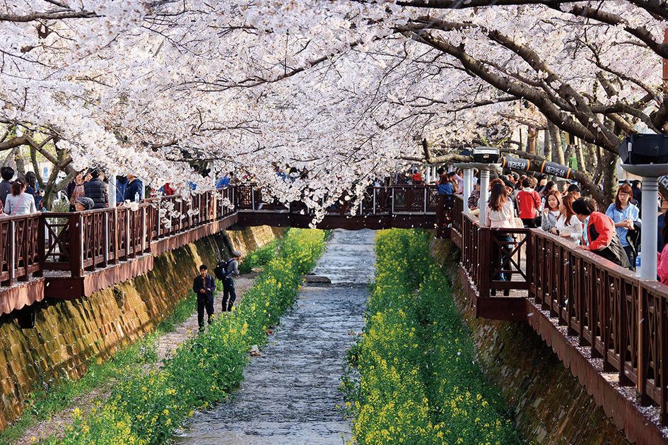 10 Rekomendasi Wisata Korea Selatan ala KTO
