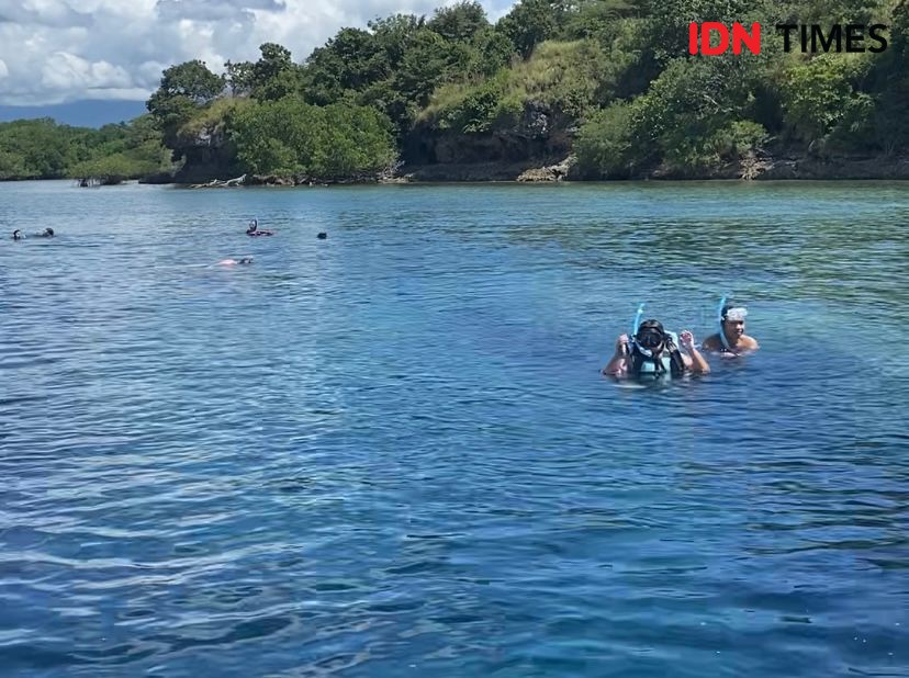 Spot Diving Tersembunyi di Pulau Menjangan, Dihuni Rusa Lho!