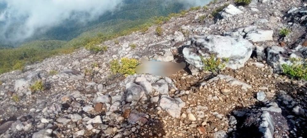 Tim SAR Gabungan Berhasil Mengevakuasi Mayat di Gunung Dempo
