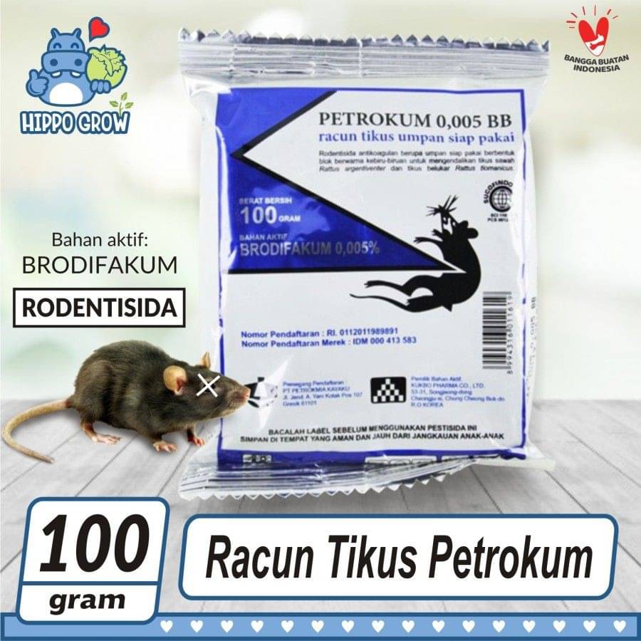 10 Racun Tikus Murah Paling Ampuh, Mulai Rp2 Ribuan!