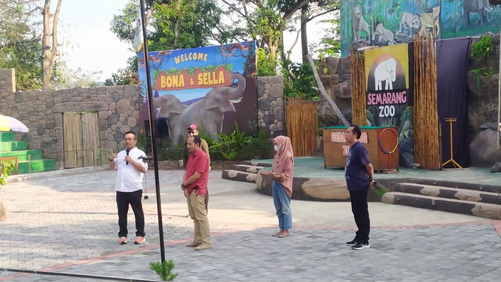 Kenalin Nih! Bona dan Zella, Dua Gajah Koleksi Terbaru Bonbin Mangkang