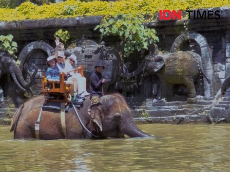 Bali Zoo Jadi Destinasi Liburan Sekolah, Ajak Anak Lakukan Ini