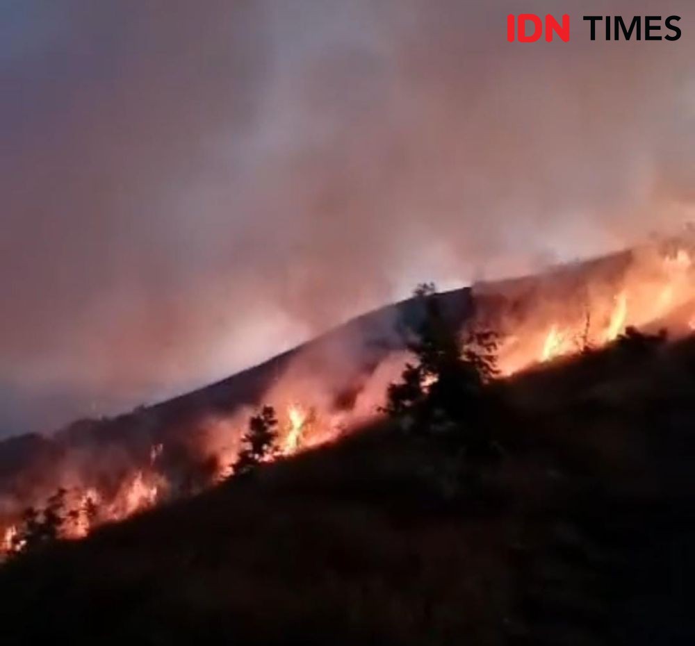 74 Hektare Kawasan di Gunung Rinjani Lombok Terbakar 