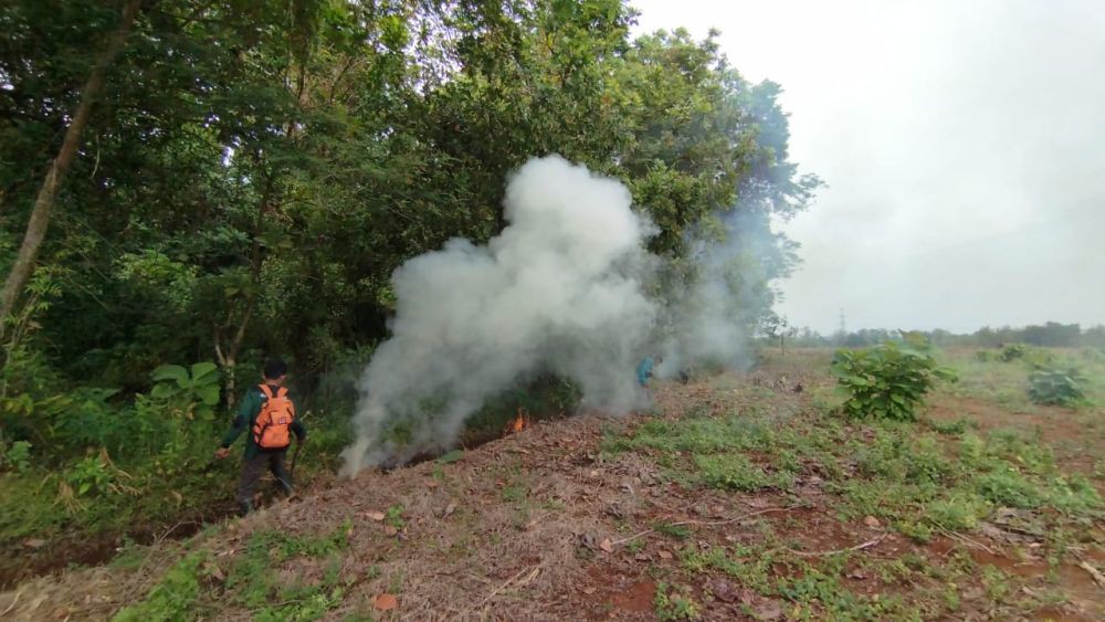 Cegah Kebakaran Hutan, Petugas Bikin Sekat Bakar di Cagar Alam Kembang Jepara