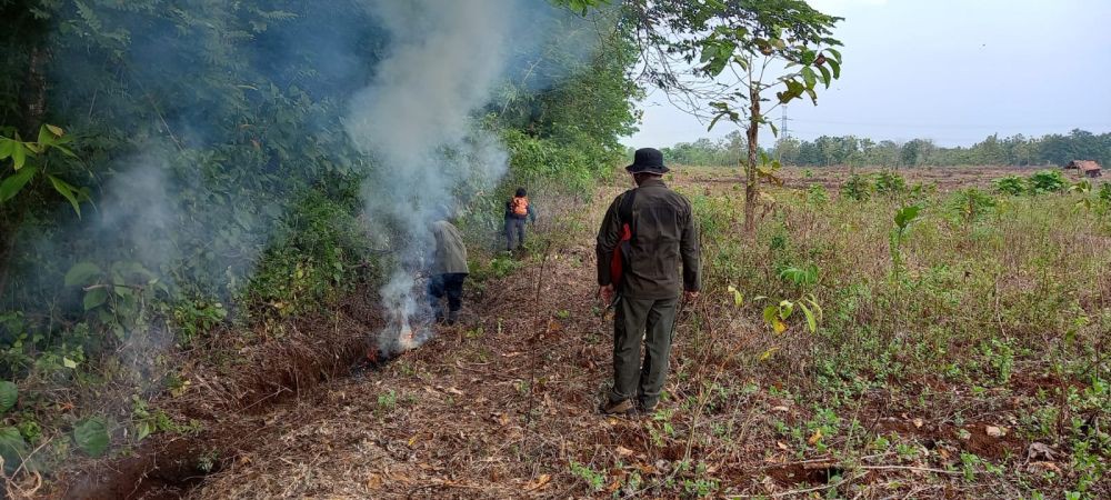 Cegah Kebakaran Hutan, Petugas Bikin Sekat Bakar di Cagar Alam Kembang Jepara