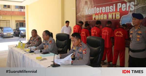 Polda NTB Bekuk Jaringan Penyelundup 28.083 Benih Lobster