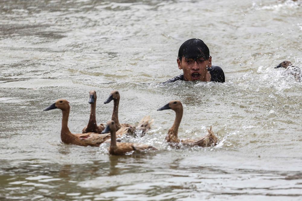 Jembatan di Kalbar Putus Saat Warga Menonton Lomba Tangkap Bebek