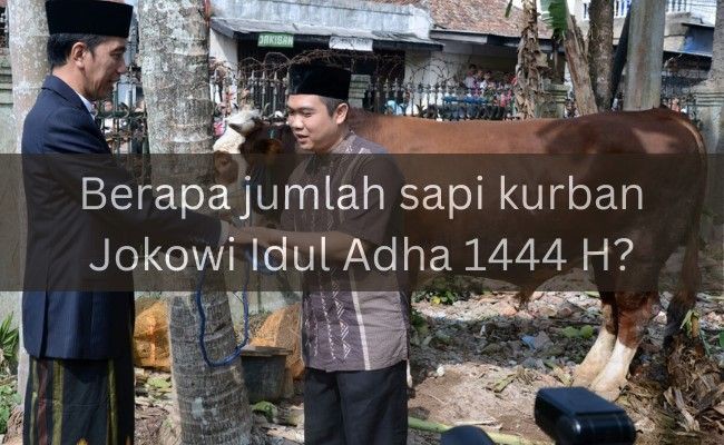 [QUIZ] Tebak Jenis dan Kriteria Sapi Kurban Presiden Jokowi 2023