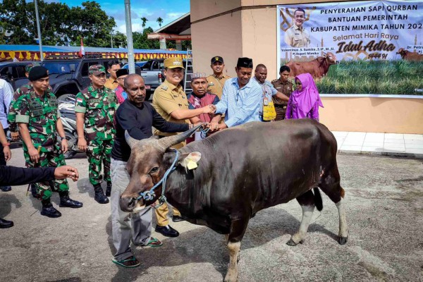 Sambut Idul Adha, Pemkab Mimika Sumbang 32 Ekor Sapi Kurban
