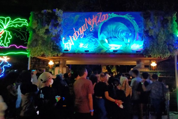 Surabaya Night Zoo Mulai Dibuka, Tiketnya Rp75 ribu