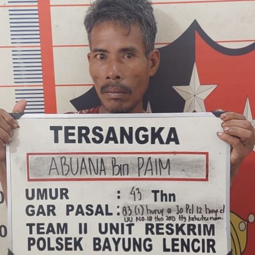 Pelaku Illegal Logging Ditangkap, Polisi Amankan 6 Kubik Kayu