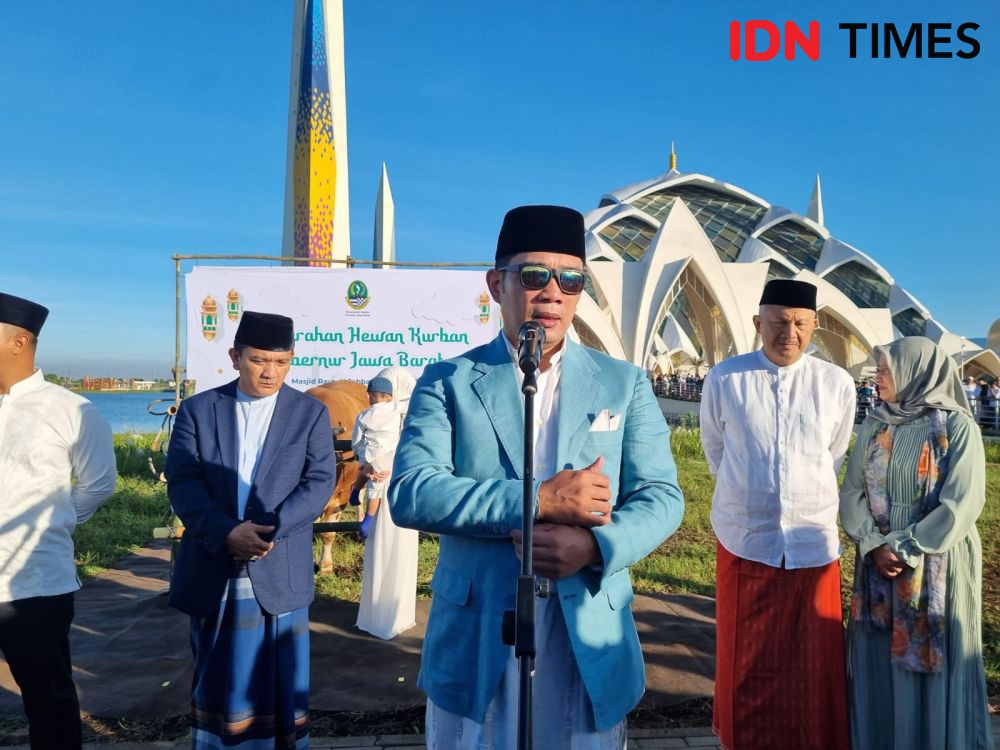 Gubernur Ridwan Kamil Berkurban Sapi Simental Berbobot 980 Kilogram