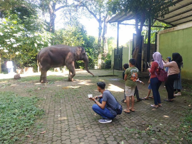 Pemkot Tunggu Waktu untuk Segel Lahan Kebun Binatang Bandung