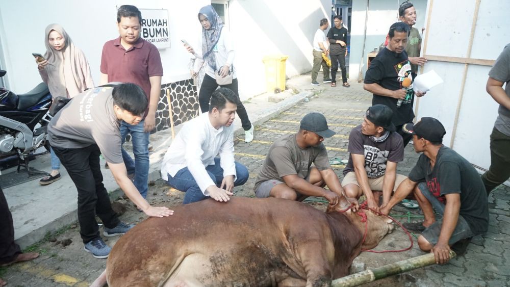 PLN UID Lampung Salurkan Ratusan Paket Daging Kurban