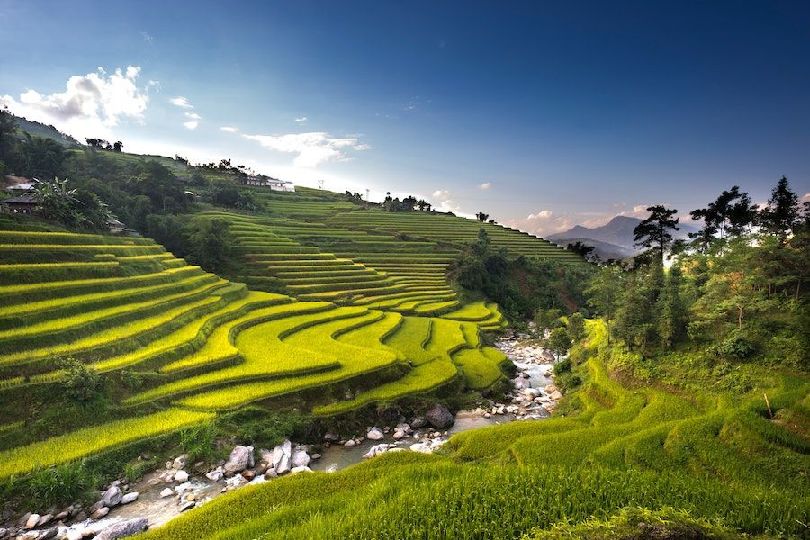 Apa Itu Terasering Ini Fungsi Jenis Dan Manfaatnya apa-itu-terasering-ini-fungsi-jenis-dan-manfaatnya