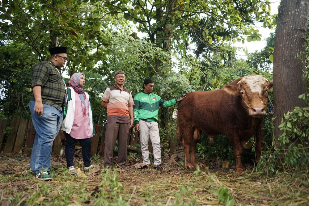 Grab Kurban untuk Mitra Ojol, Sembelih Sapi 1 Ton dan Ratusan Kambing