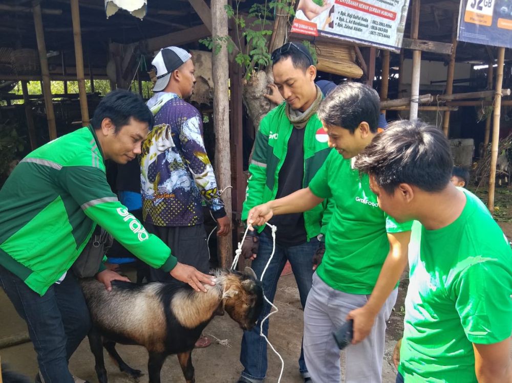 Grab Kurban untuk Mitra Ojol, Sembelih Sapi 1 Ton dan Ratusan Kambing