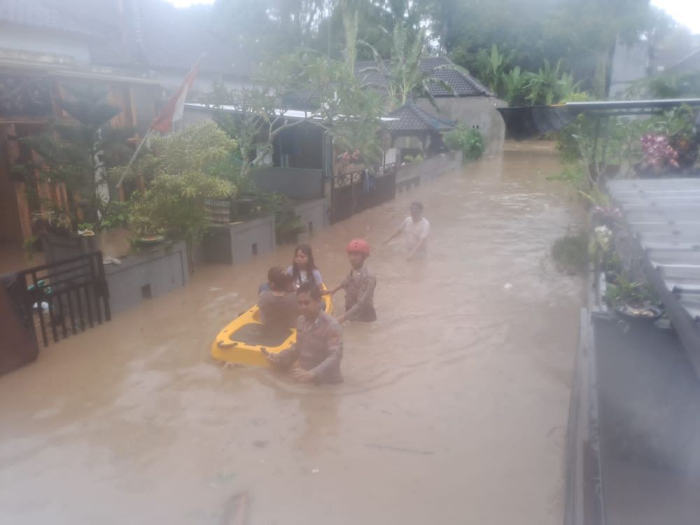 Hujan Seharian, Tabanan Dikepung Banjir hingga Pohon Tumbang