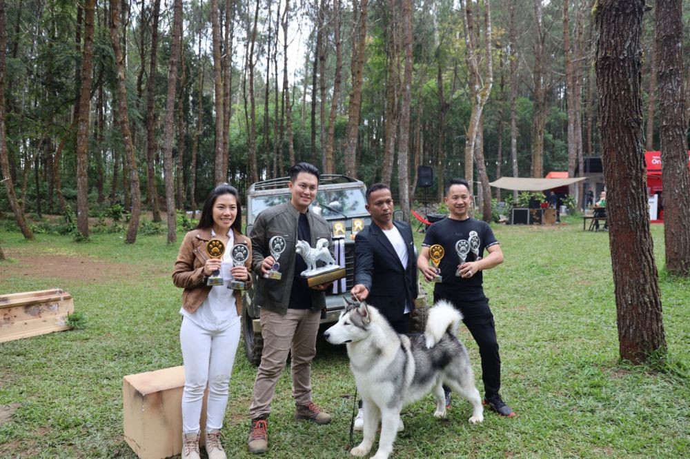 Unik, Kimo Malamute Ultah dan Undang 30 Anjing Sejenis di Lembang