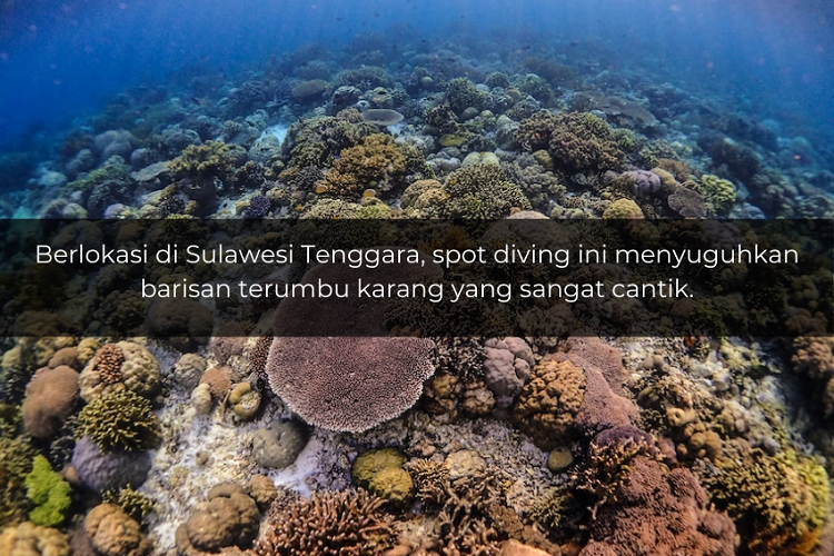 [QUIZ] Jangan Ngaku Suka Diving kalau Gak Tahu Spot Diving Tercantik di Indonesia Ini!