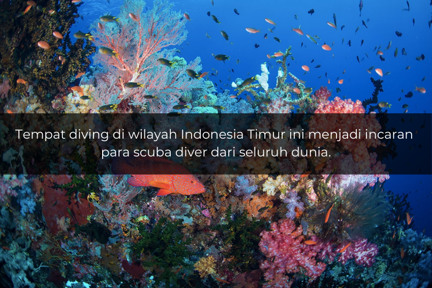 [QUIZ] Jangan Ngaku Suka Diving kalau Gak Tahu Spot Diving Tercantik di Indonesia Ini!