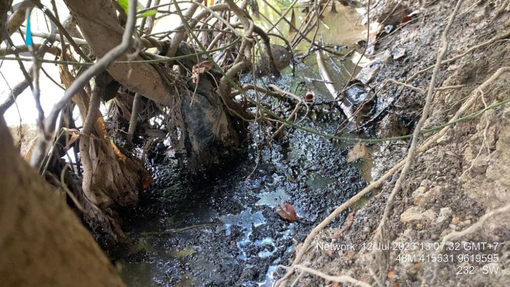 Sungai Kelekar Tercemar Minyak 2 Km, WALHI Sebut Pertamina Lalai