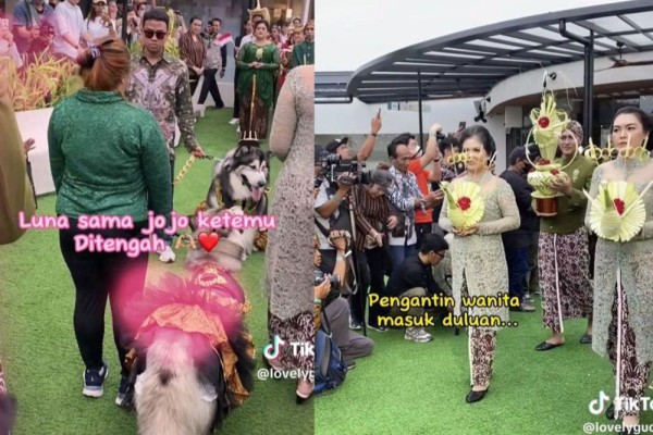 Disbud DIY Sayangkan Pernikahan Anjing dengan Tata Cara Jawa